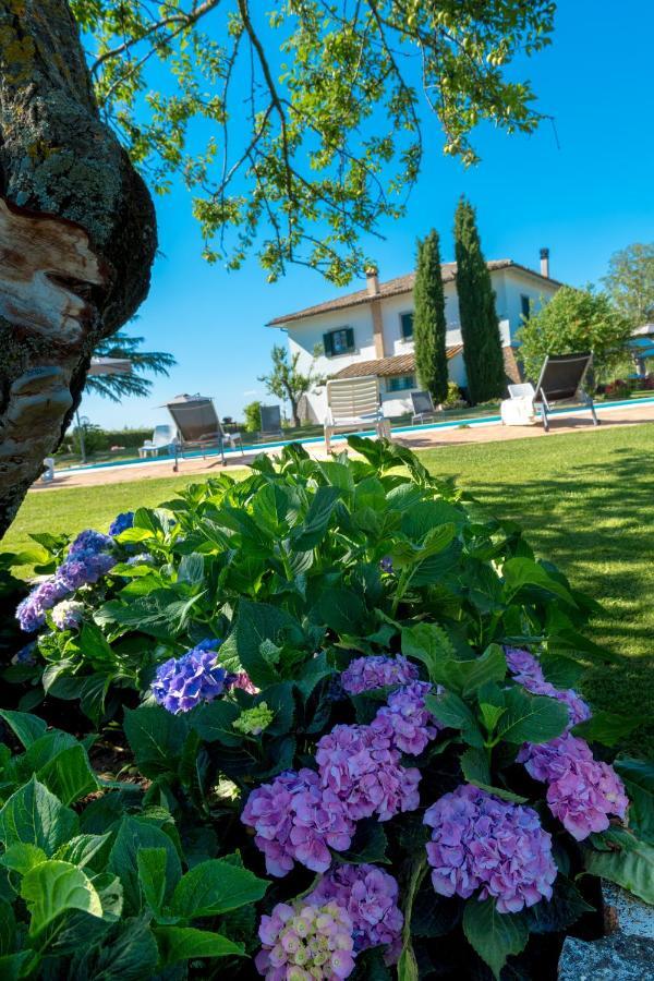 Il Raggio Di Sole Villa บันโญเรจิโอ ภายนอก รูปภาพ